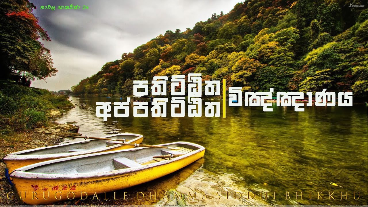 ඇත්තටම මේ කතාවෙ මෙලෝ රහක් නෑ | පුජ්‍ය ගුරුගොඩැල්ලේ ධම්ම සිද්ධි හිමි | @dhammasiddhi