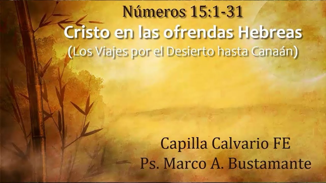 Números 15:1-31 - CRISTO EN LAS OFRENDAS HEBREAS