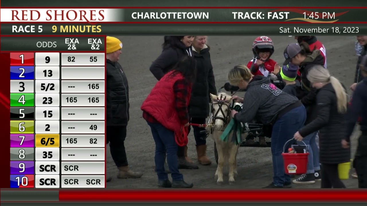 Mini Horse Races