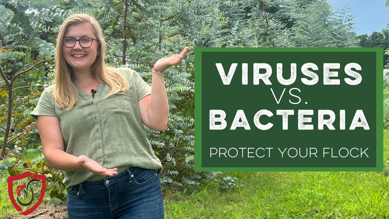 Poultry Diseases: Viruses v. Bacteria
