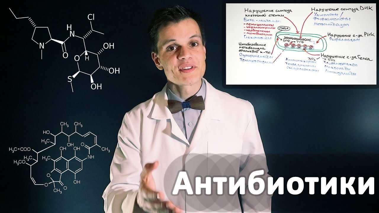 Умный Медик [УМ] - Механизм действия Антибиотиков. Базовое видео по фармакологии.
