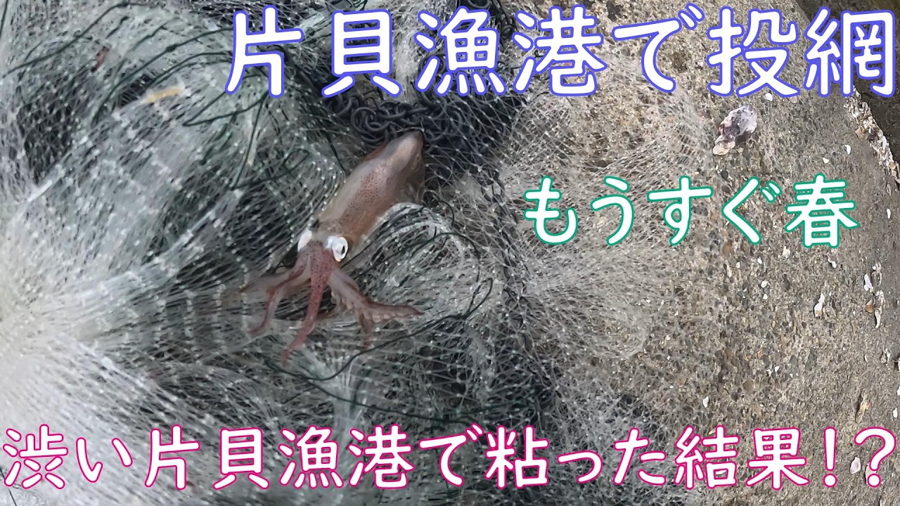 【投網】向かい風の中で渋い片貝漁港で粘った結果！？【春の漁港】