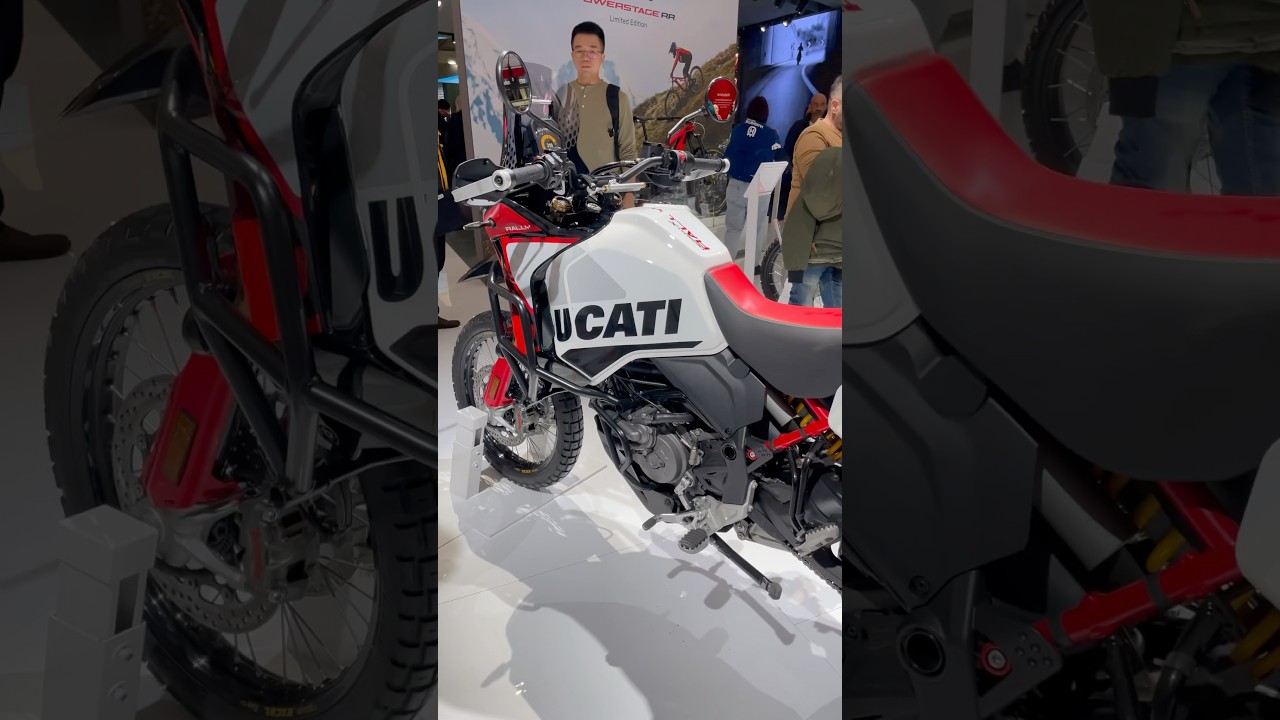 2025 Ducati DesertX Rally bike on display at EICMA 2024 👀 #ducati #desertx #rallyraid #rallybike