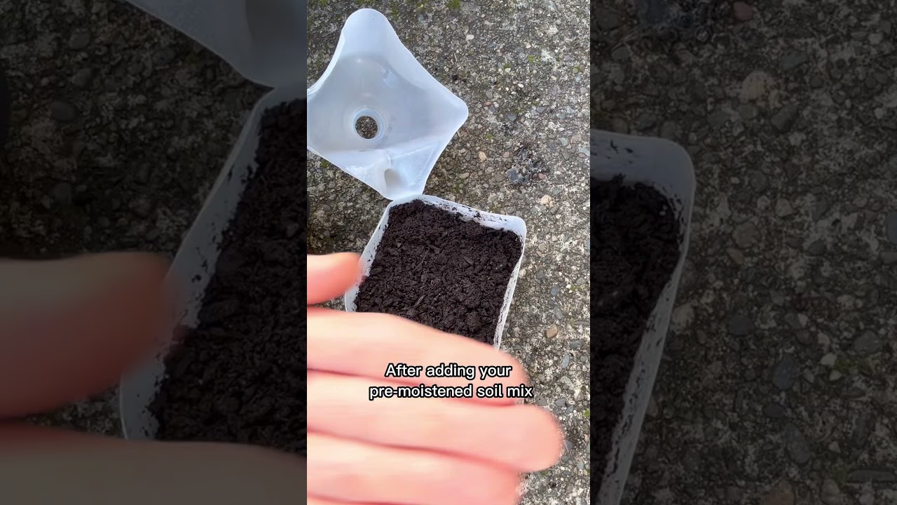 How to make a Winter Sowing Jug