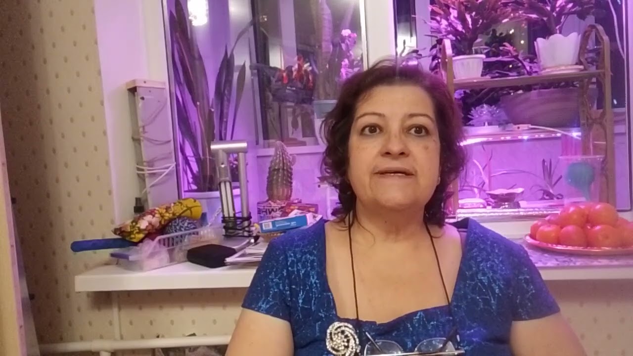 31 декабря 2025 г.