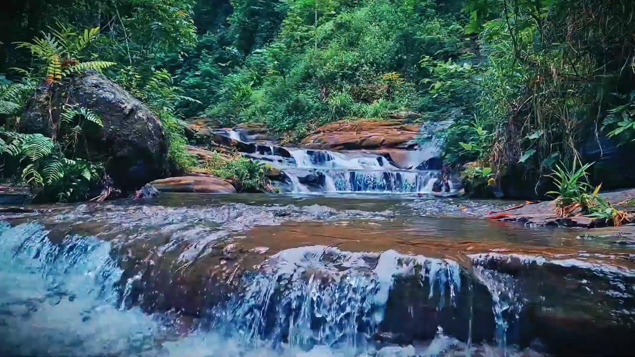 Mountain River Waterfall Flowing | Water Sounds, Nature White Noise, River Sounds for Sleeping