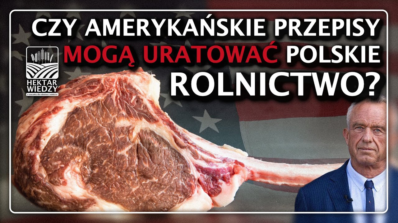 CZY AMERYAŃSKIE PRZEPISY MOGĄ URATOWAĆ POLSKIE ROLNICTWO? | Hektar Wiedzy