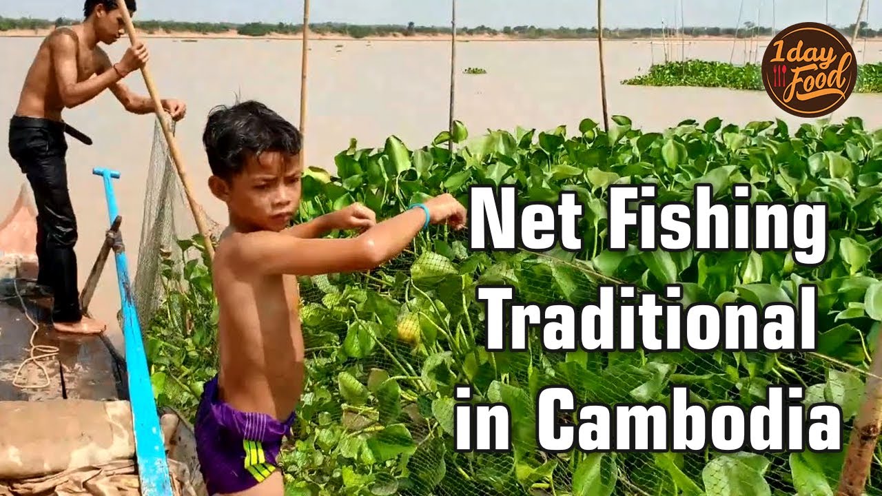 Amazing Net Fishing Traditional in Tonle sap