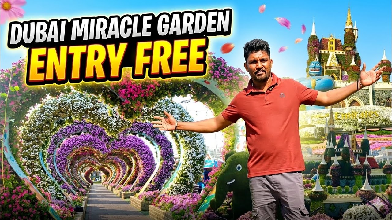 దుబాయ్ 🇦🇪 లో మిరాకిల్ గార్డెన్ #dubai #travel #trending #dubailife #viral 