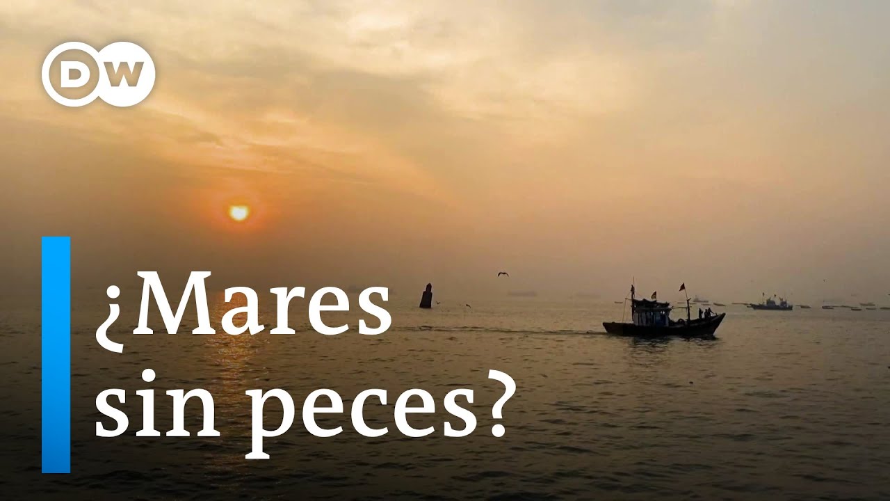 La opción de la pesca sustentable. Programa completo