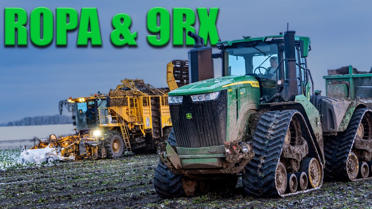 Vyoravání Řepy | Ropa V8-3 6x6 | John Deere 9RX + Hawe RUW | ZS Sloveč a.s.