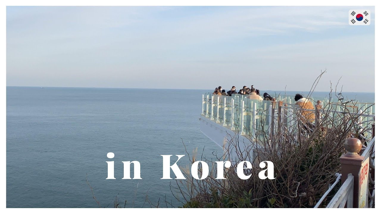 🇰🇷 브이로그 l Hello Korea, Busan! #KoreaVlog #Busan #부산일상 #BackHome