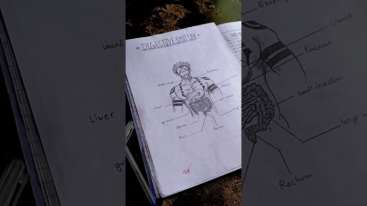 When an Artist Draw Bio Diagrams 🤣🤧 #art #biology #diagram #artist #anime