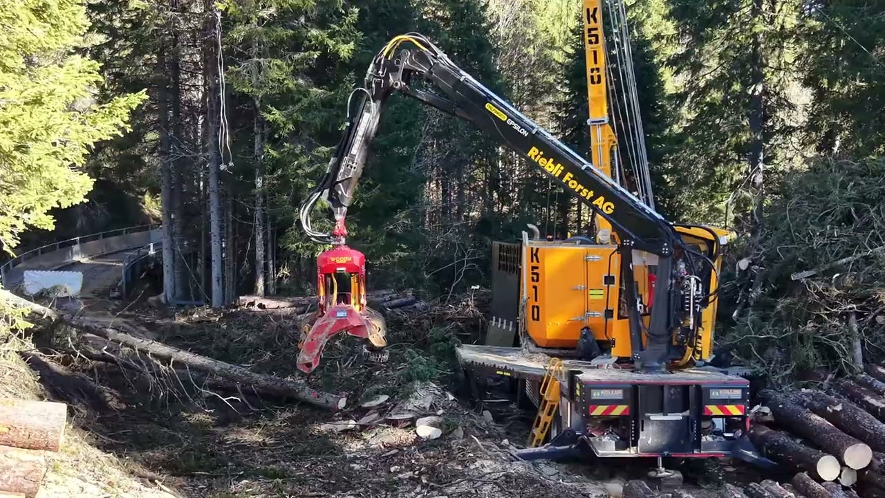 Gebirgsharvester und Kettens&auml;gen im Einsatz bei Riebli Forst AG 🇨🇭 🪓🪵