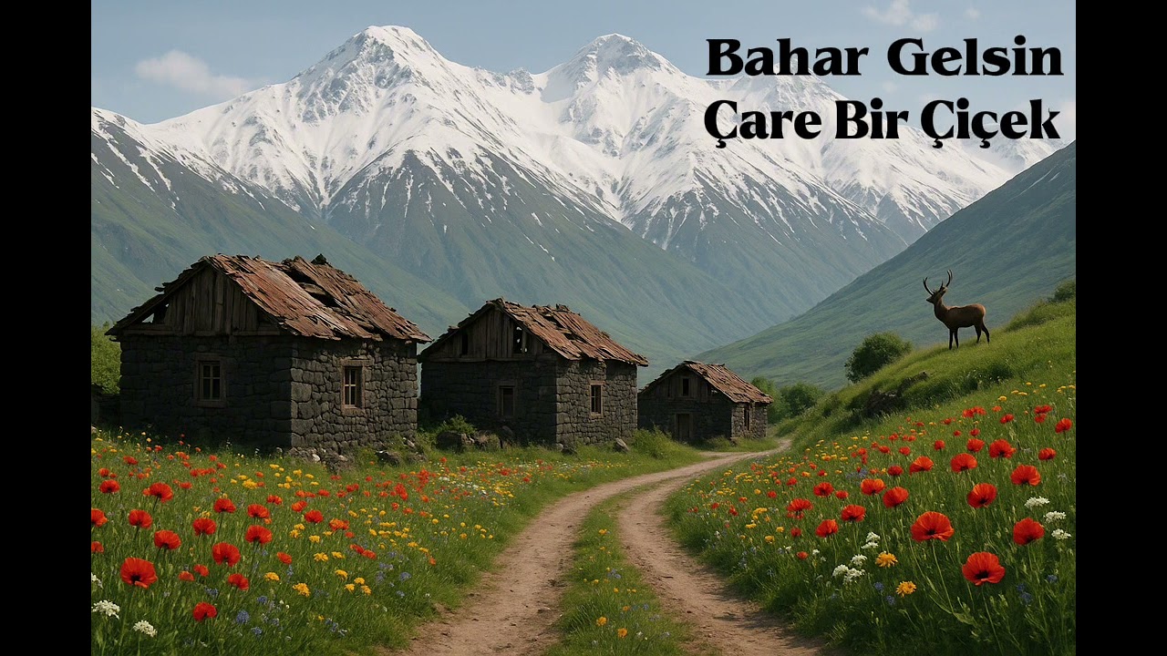 Bahar Gelsin Karşı Dağa Çıkayım                                           (Söz Müzik : Aşık Reyhani)