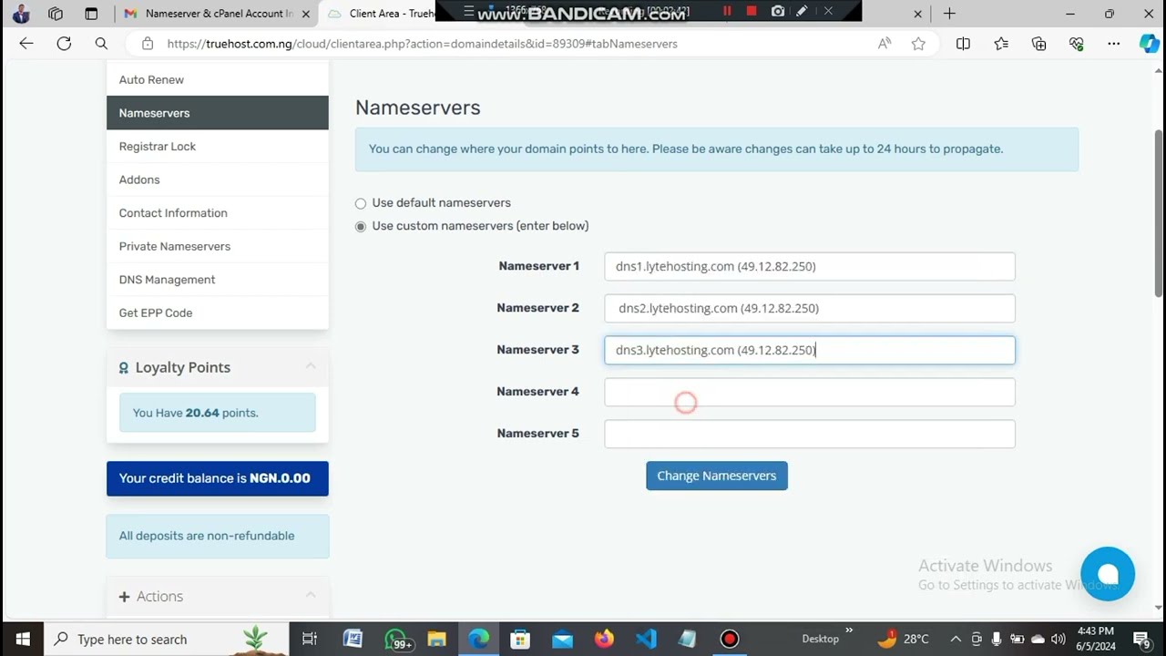 DNS Propagation Tutorial: How to Link Your Domain to your hosting on a different hosting company