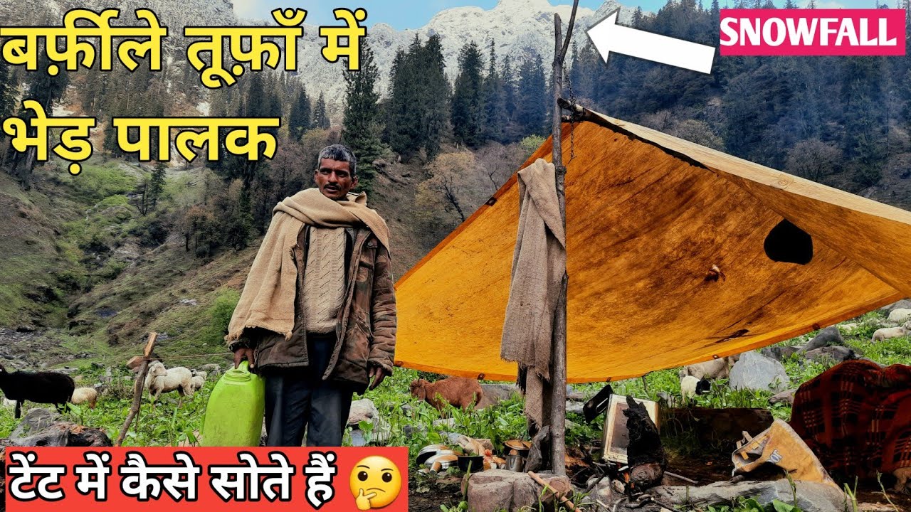 बर्फ़ीले तूफ़ान,भारी बारिश,और भयानक ठण्ड में कैसे सोते हैं भेड़ पालक ज़मीन पर 😭 @Himachalilife