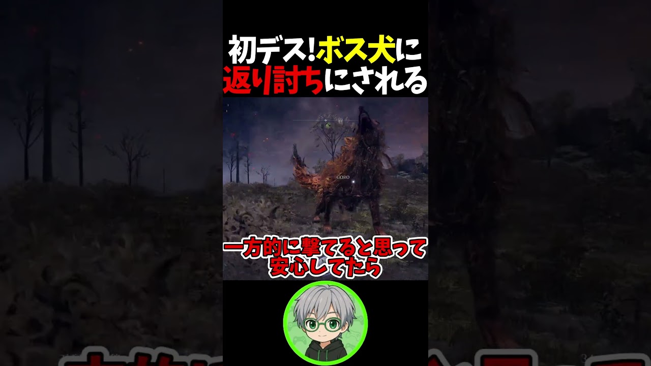 初デス!ボス犬に返り討ちにされるソケゴロwww【エルデンリング ナイトレイン】#shorts #エルデンリング #ナイトレイン  #ソッケル #ソッケル独立遊軍 #切り抜き