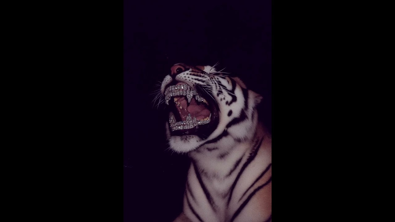 [FREE] 