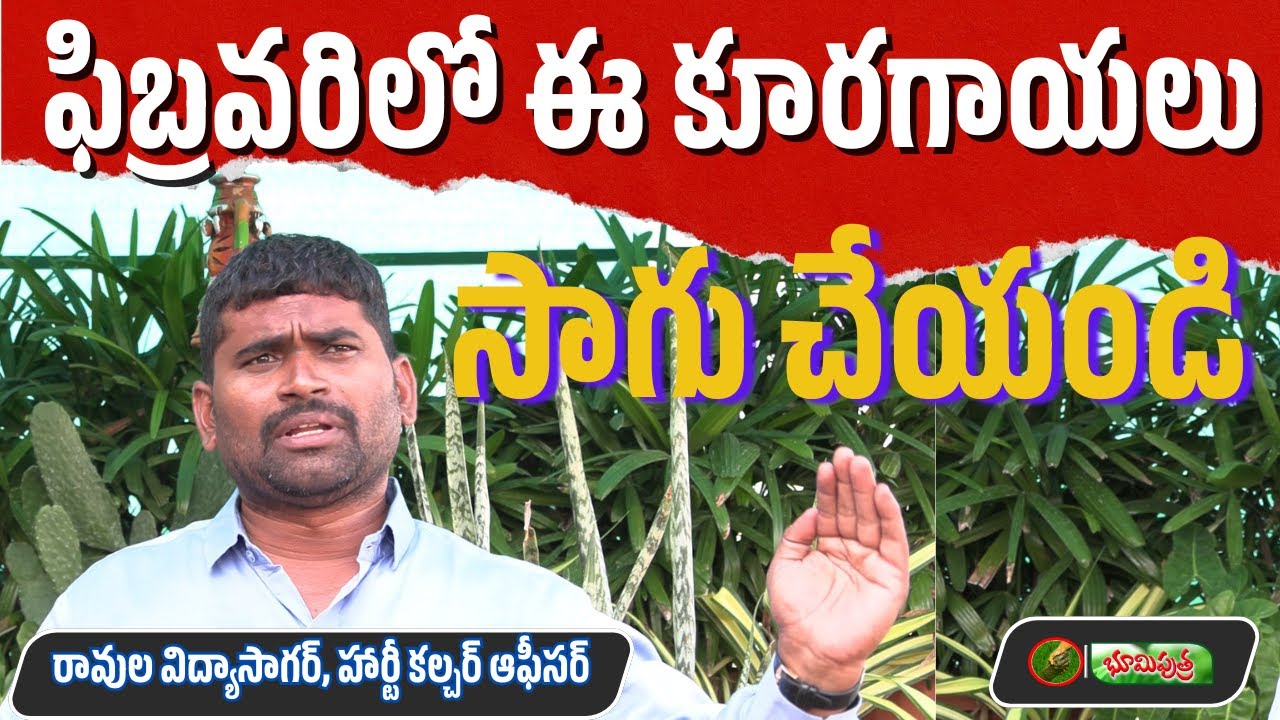 ఫిబ్రవరిలో ఈ  కూరగాయలు సాగు చేయండి | what vegetable season is February