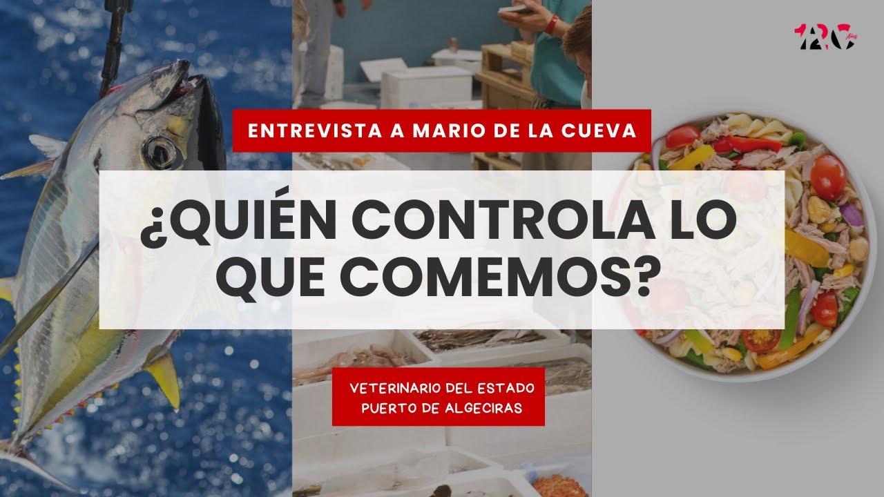 🔍 ¿Quién controla el pescado que comemos? | Mario de la Cueva – Veterinario del Estado