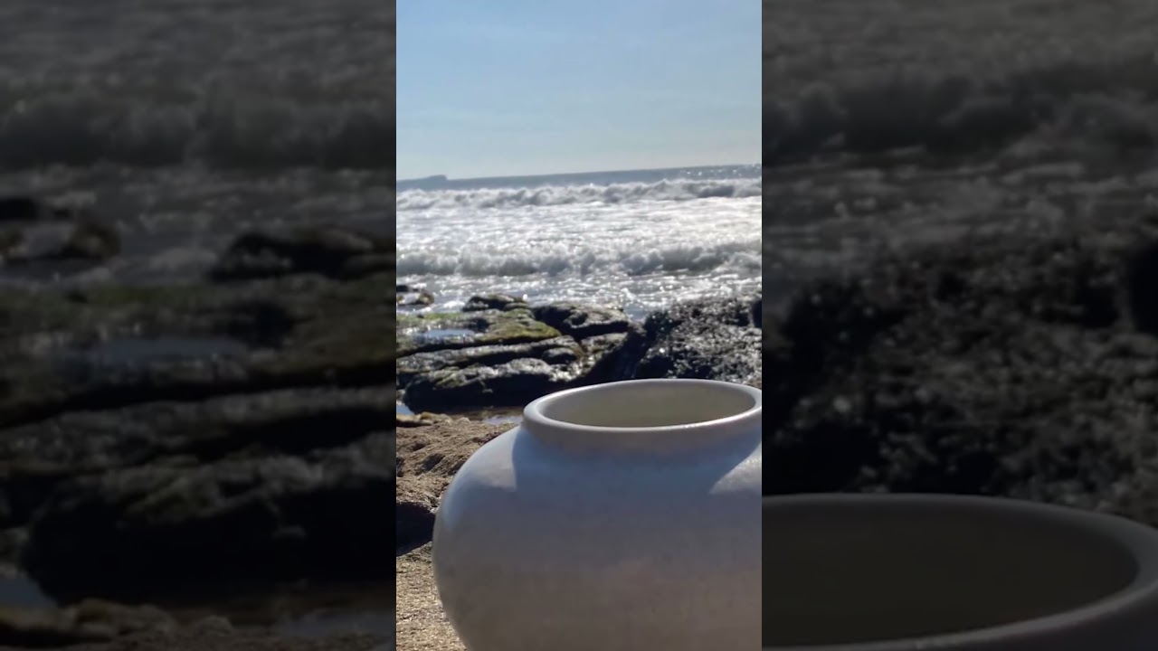 SCSC 26: Beachy pots #sunshinecoast #maroochydore