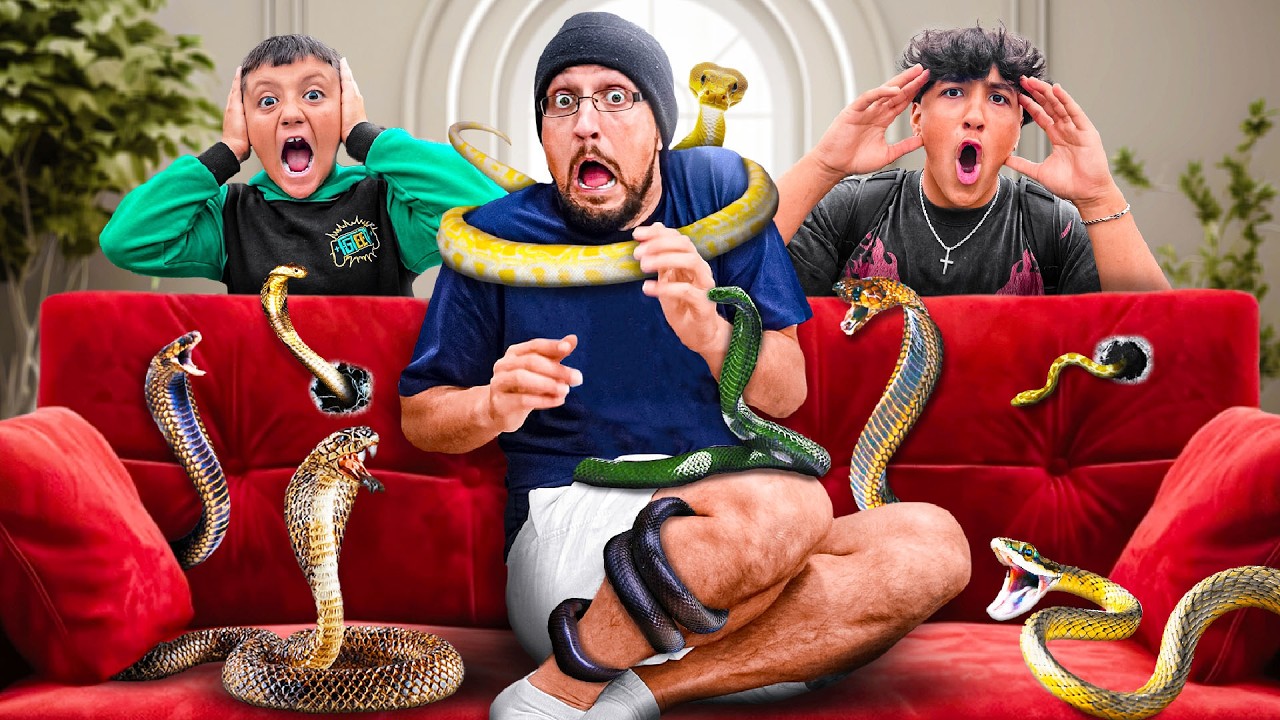 Snake Found in New Couch (+ Mystery Prize for my Family)