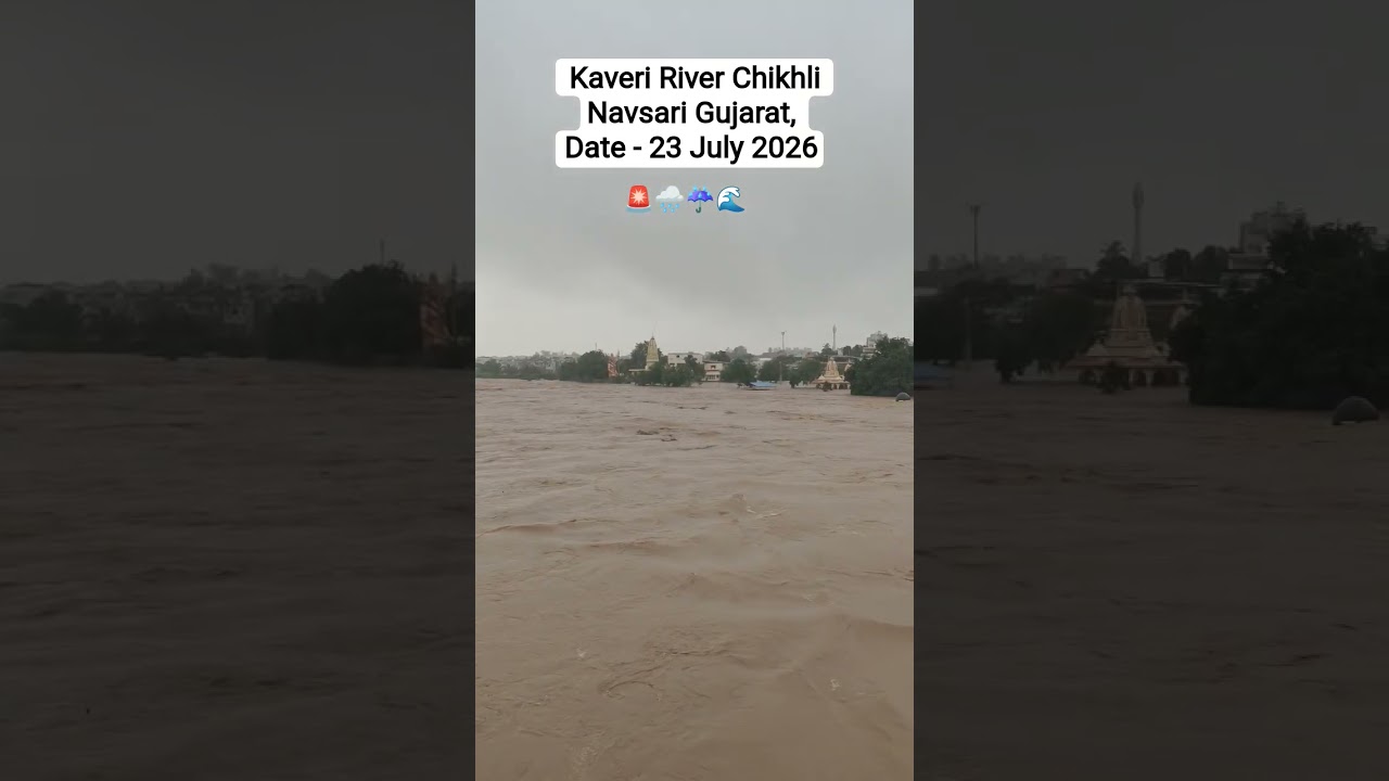 Kaveri River Chikhli Navsari Gujarat, Date - 23 July 2026 🌊☔🌧️🚨 #river #kaveri #gujarat #news #live
