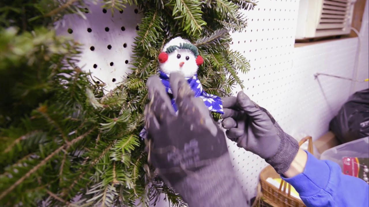Maryland Farm & Harvest: Blue Heron Christmas Tree Farm