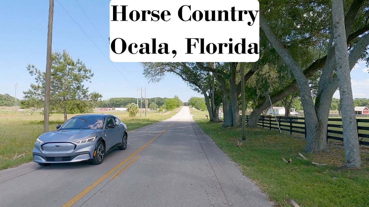 Driving around Ocala, Florida Zip 34475 || Large acreage neighborhood|| 