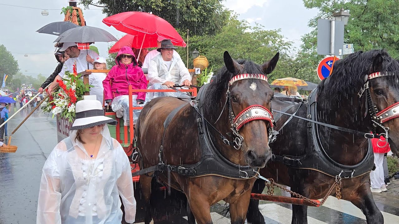 Starkregen – Der Rakoczy-Festzug 2025 in Bad Kissingen