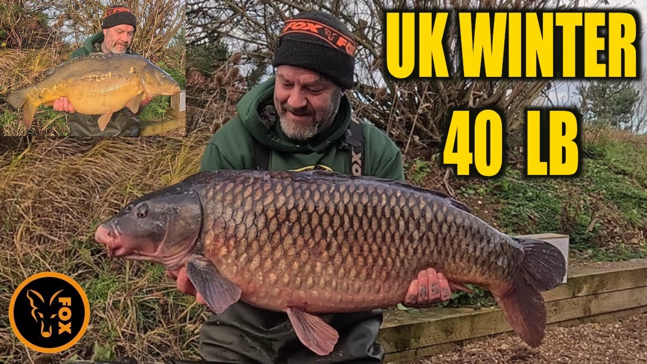 UK WINTER 40 LB - RIVERSLEA FARM LAKE - carp fishing - fox 