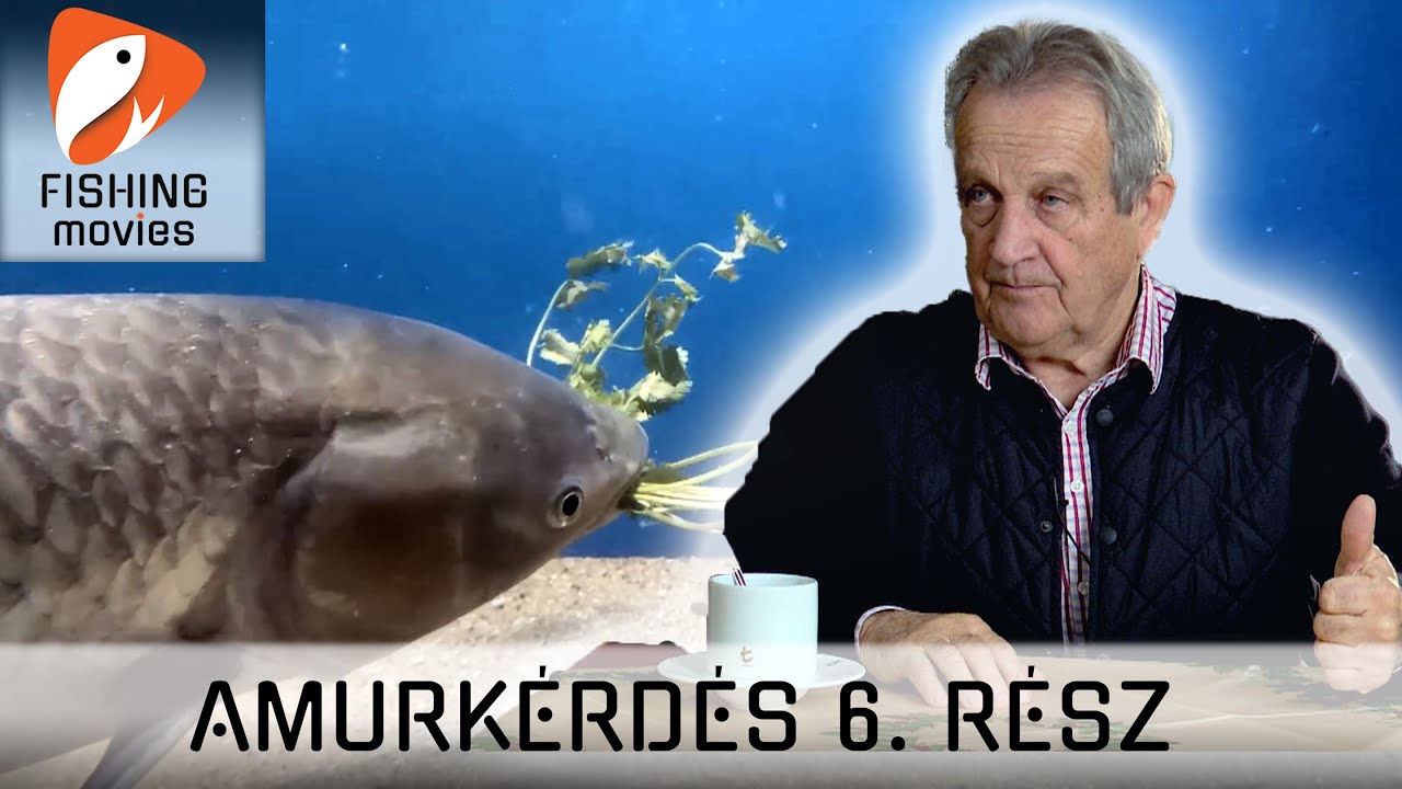 Amurkérdés 6. rész