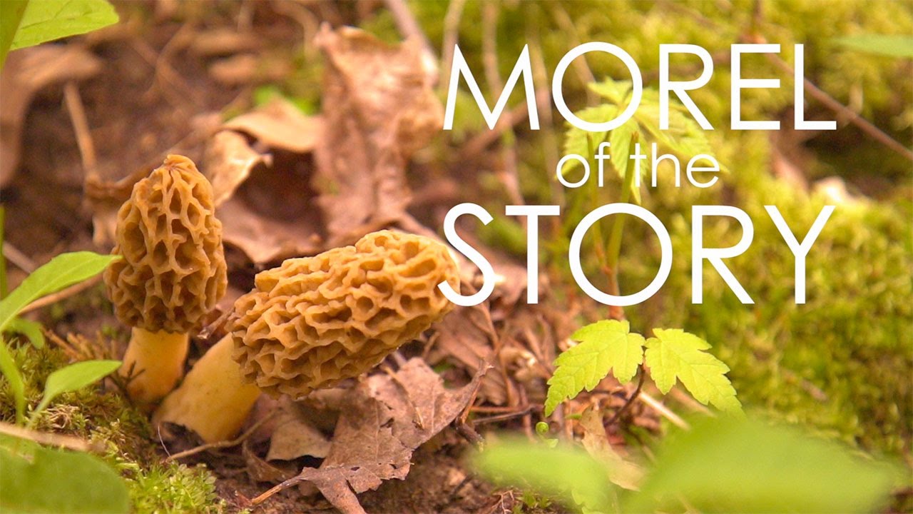 Wisconsin Foodie - Muscoda Fishing, Foraging, & Feast - Full Episode