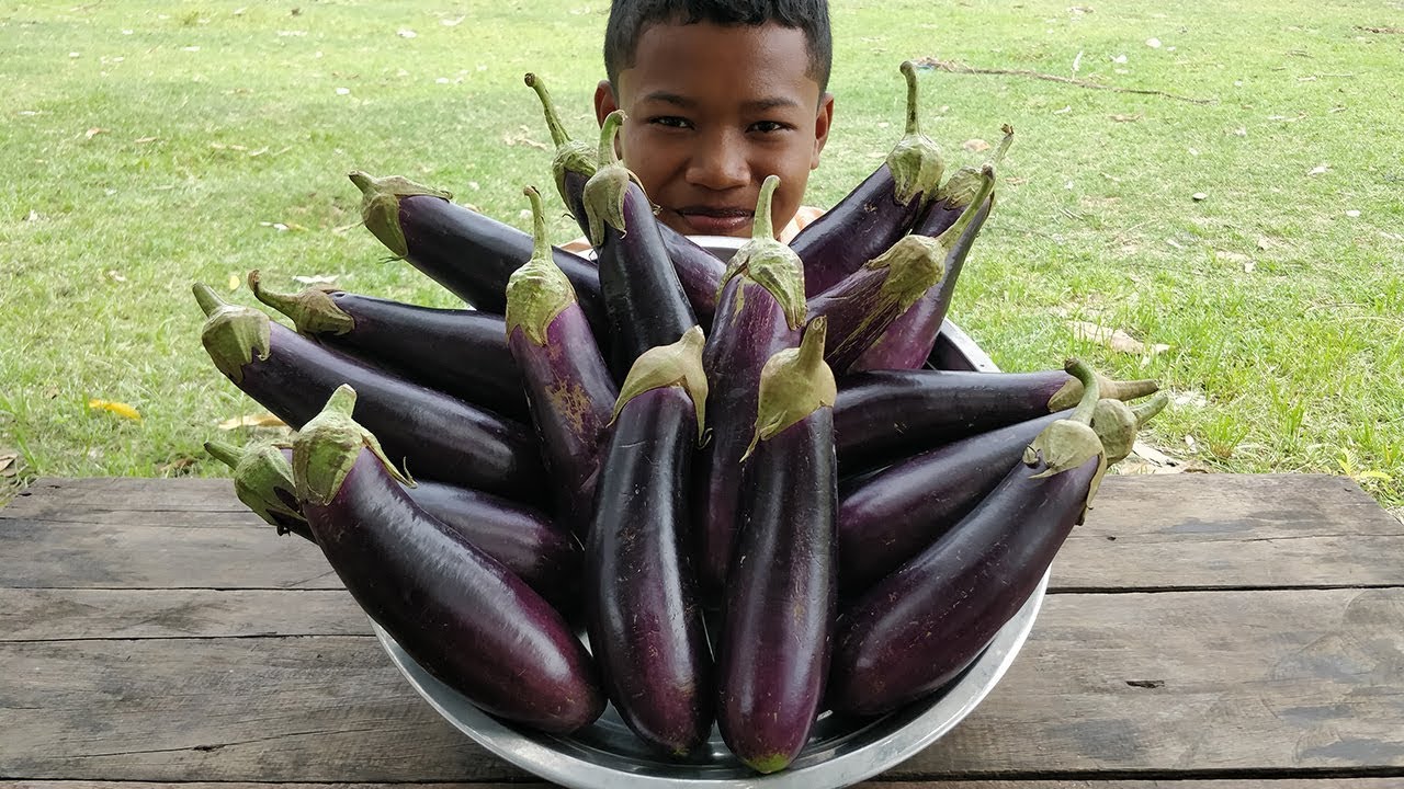 EGG PLANT !! Very Tasty Egg Plant Stir Fried Beef | Egg Plant Cooking Recipe