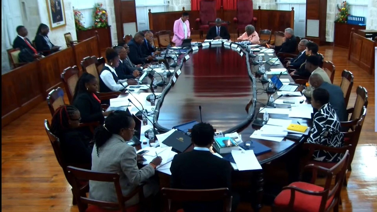 Senate passes constitutional amendment to Bar floor crossing by MPs