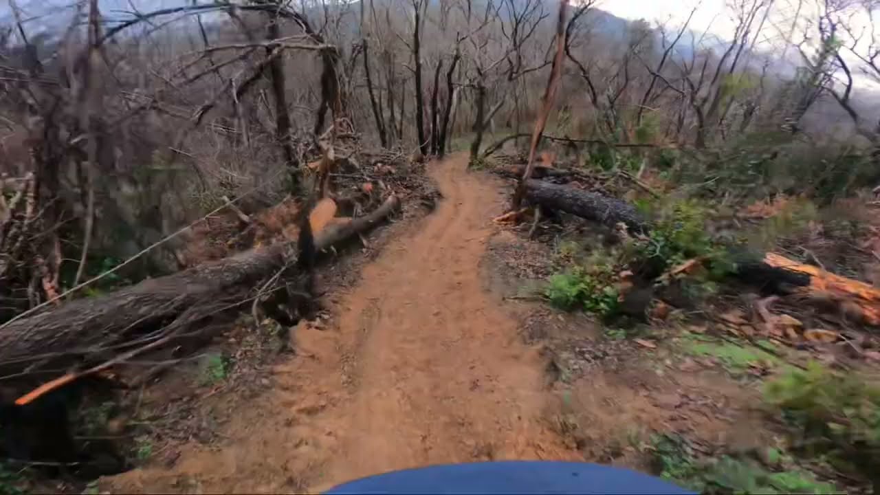 Massarosa Trail Area (Monte Ghilardona) - Pico’s Trail (Trail Check, prima volta)