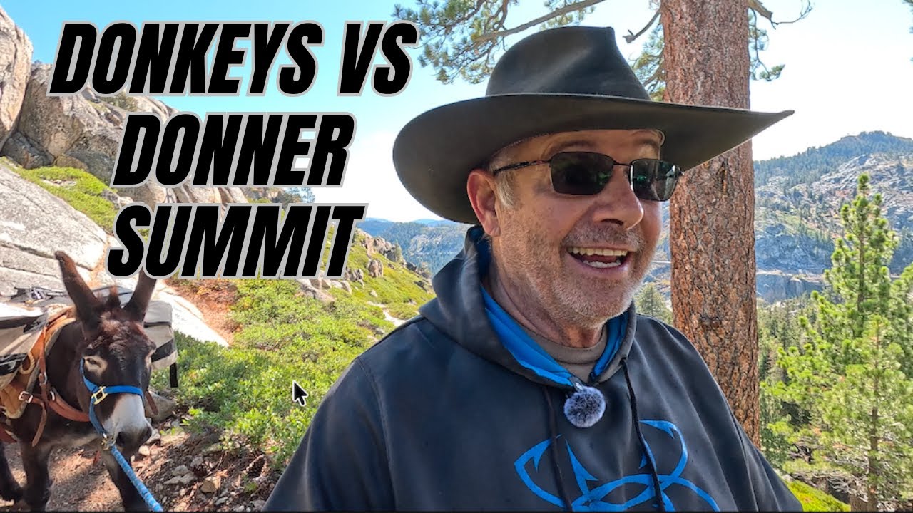 This Trail Broke Wagons… So I Tried It on Donkeys