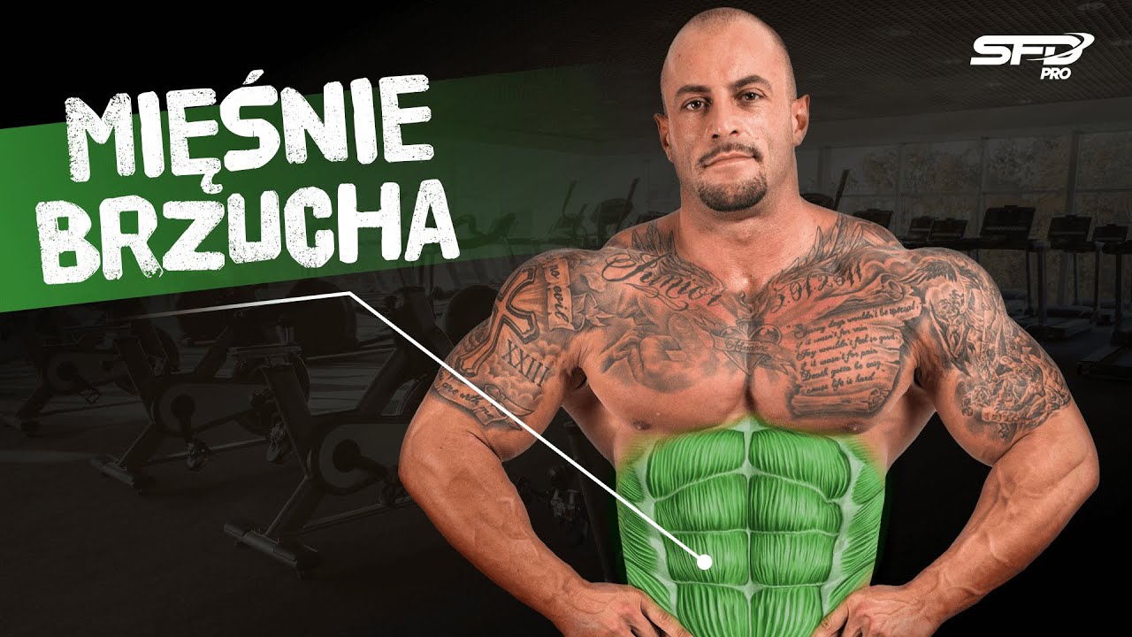 Atlas Ćwiczeń SFD - Mięśnie brzucha