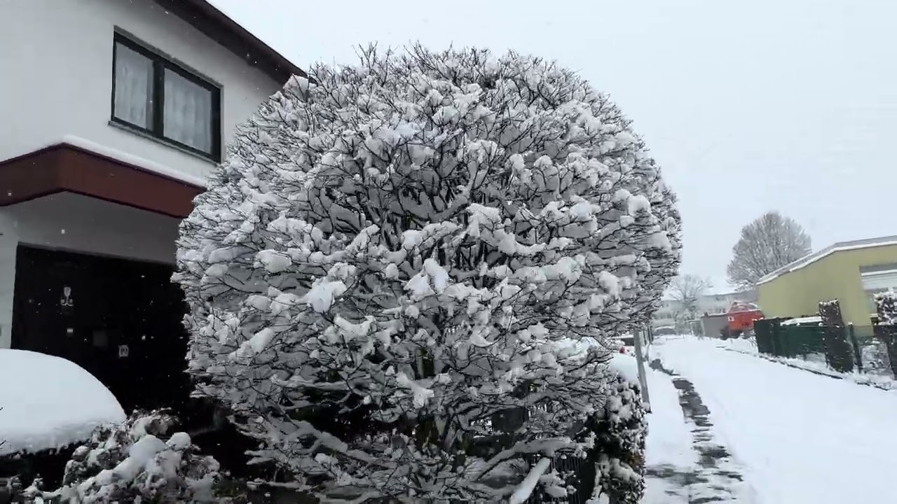 Snow Germany 2026