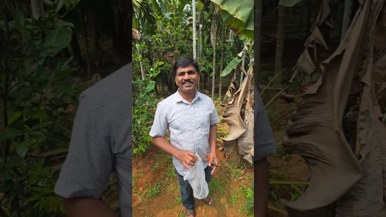 അത്ഭുത പഴങ്ങളും 500ൽ അധികം പഴവർഗം ഉള്ള ഒരു തോട്ടത്തിൽ ഞങ്ങൾ പോയി❤️❤️❤️❤️