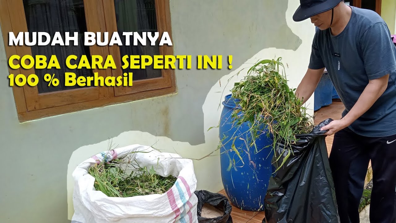 Cara Mudah Silase Rumput Liar Lengkap dan Jelas, Domba Langsung Suka
