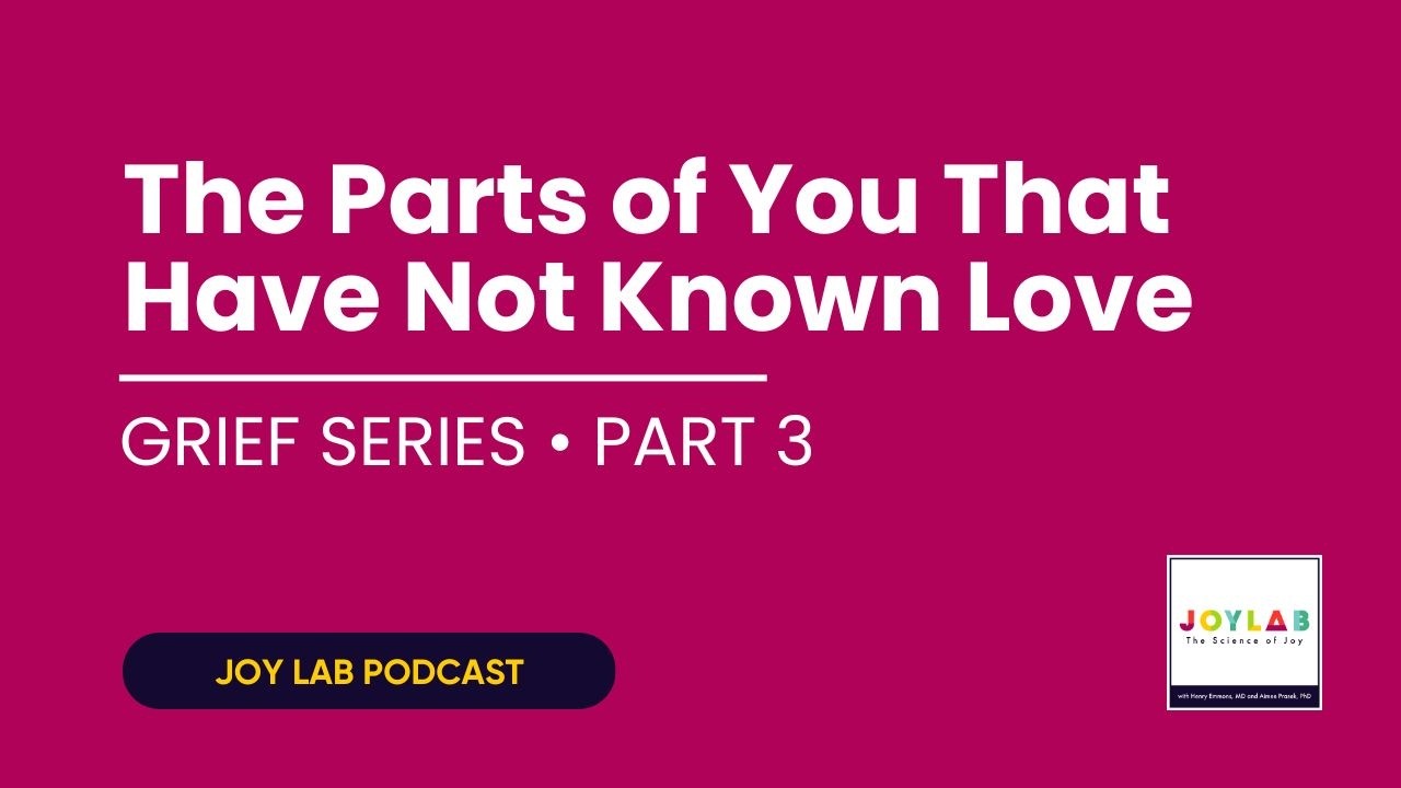 Welcoming Back the Parts of You That Have Not Known Love | Joy Lab Podcast [250]