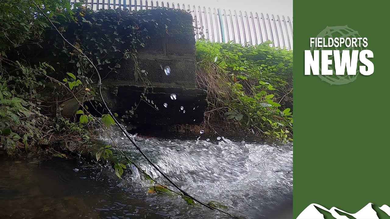 Sewage in rivers forces government u-bend u-turn