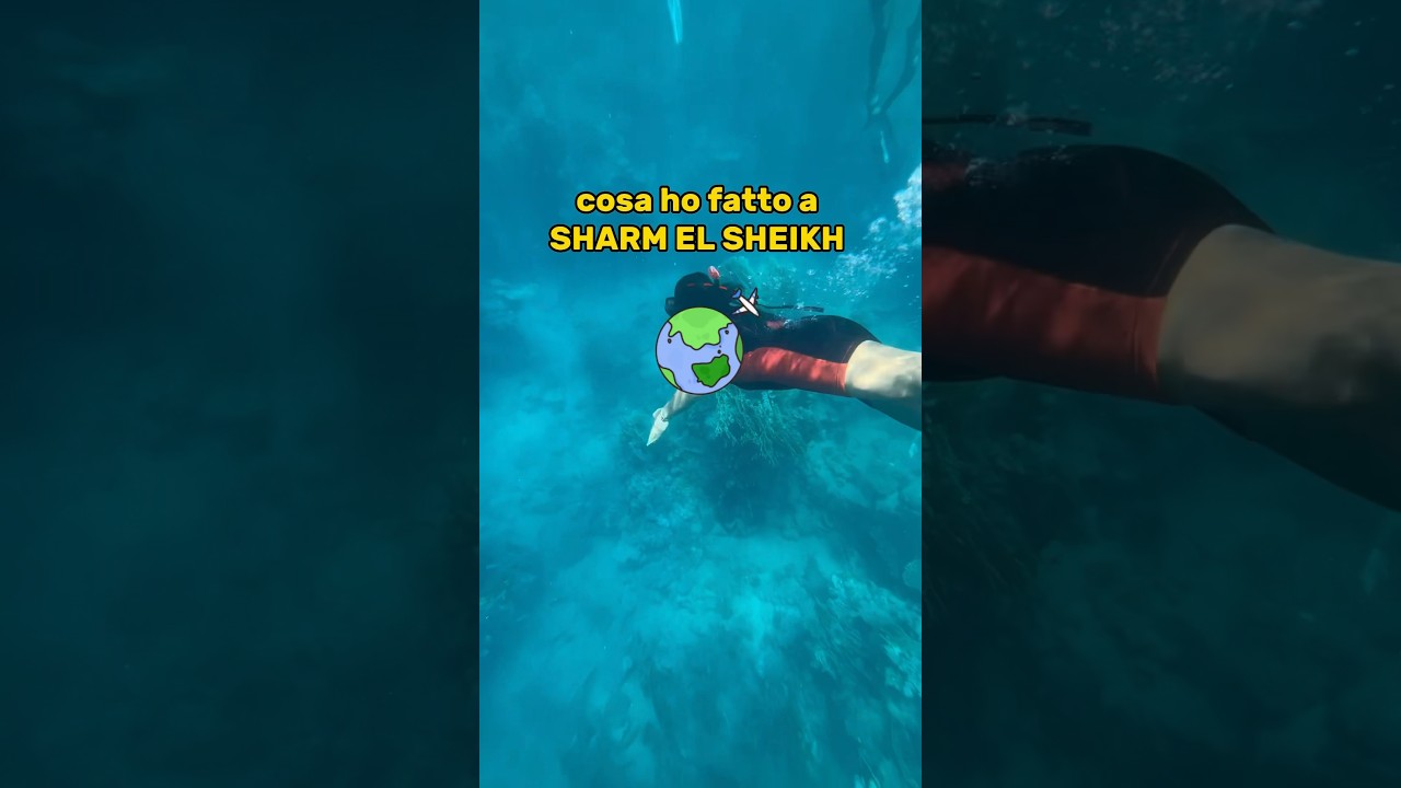 cosa fare a Sharm El Sheikh 🪸
