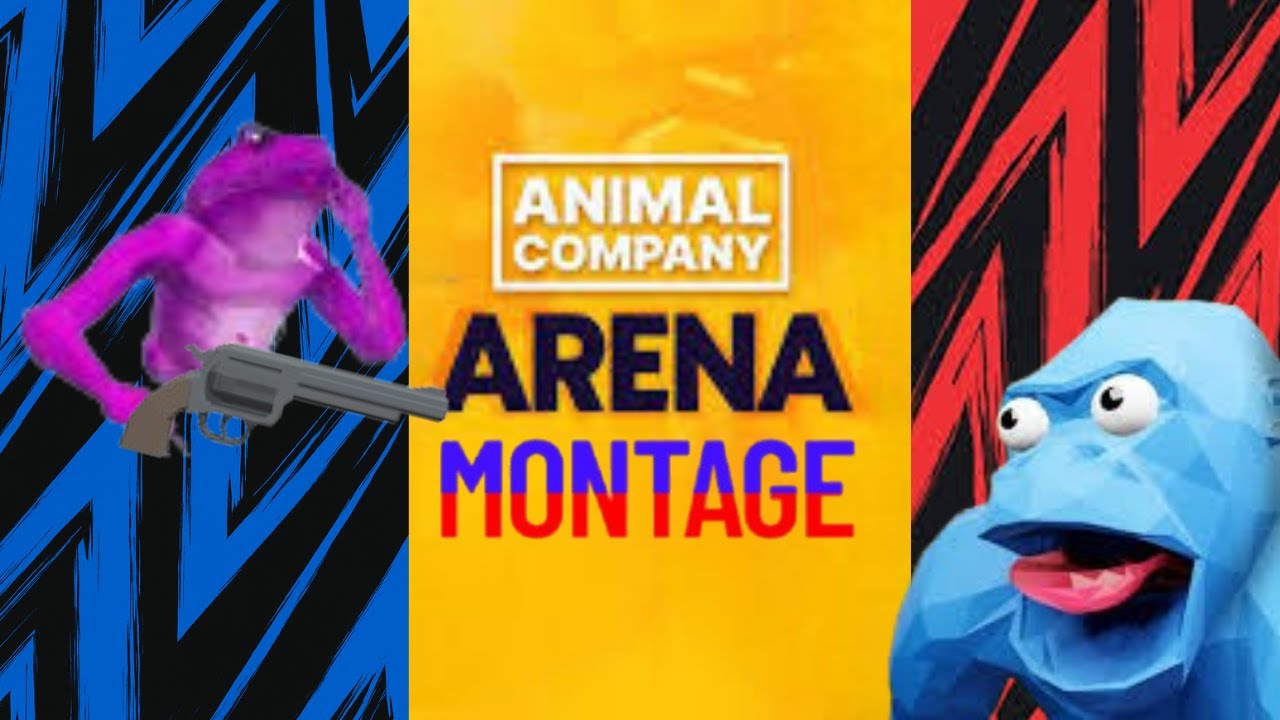 Animal Company Arena montage