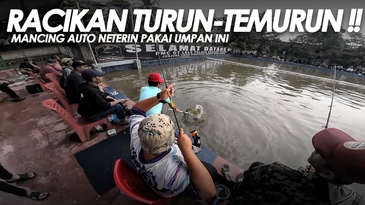 AYAM SUIR x LEMAK KUDA GAADA OBAT !! SEMUA RAHASIA RACIKANNYA DI BONGKAR DISINI || Am#648