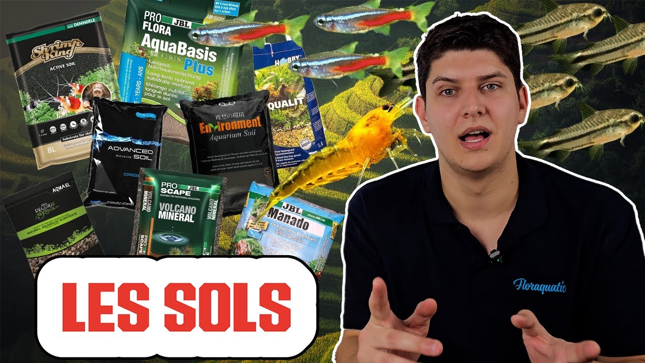 Choisir le BON sol en MOINS de 14 minutes !⏱️- Floraquatic #astuce