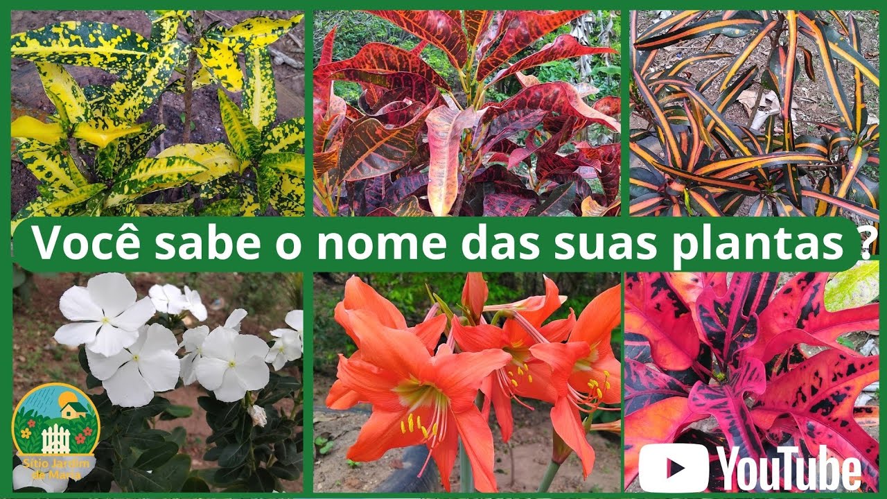 SITIO JARDIM DE MARIA, VEM SE ENCANTAR !!!