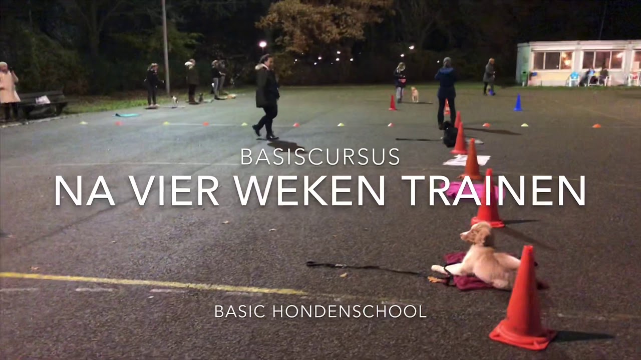 Basic Hondenschool basiscursus november